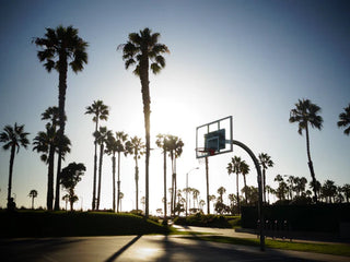 THE VENICE BEACH BASKETBALL COURTS