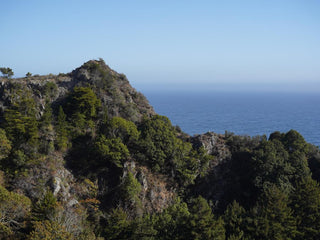 CALVI MAQUIS