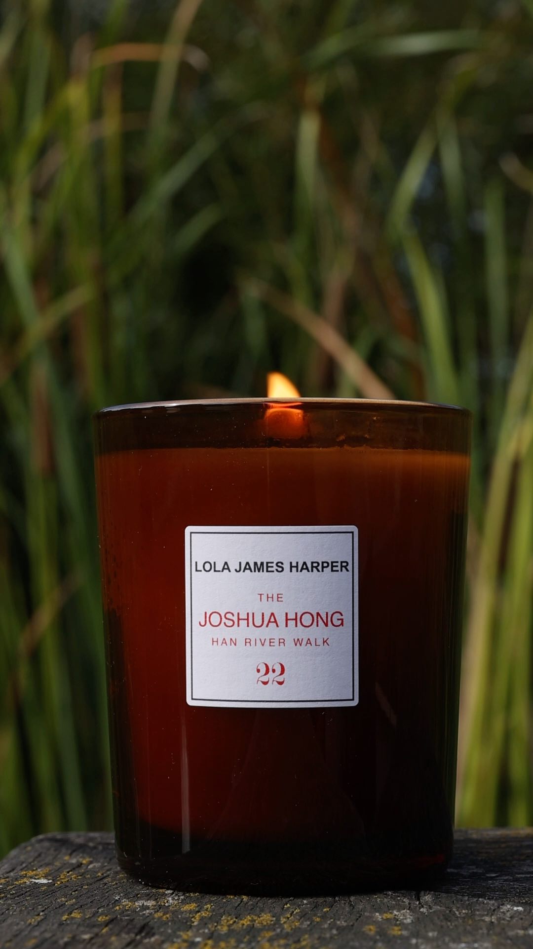 セブチLola James Harper Joshua Hong  #22